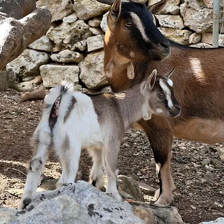 Crumisi - Turismo Rurale Salento * Sannicola