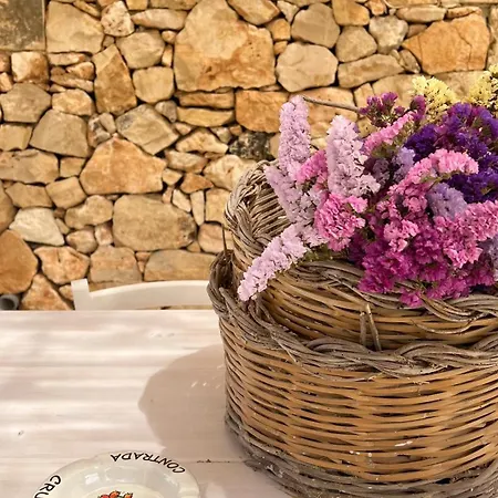 Farm stay Crumisi - Turismo Rurale Salento *