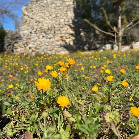 Crumisi - Turismo Rurale Salento *